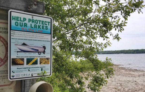 Clean Boat Sign